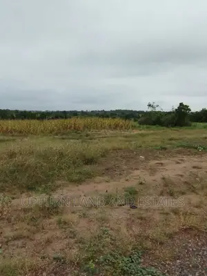 80 Acres of Land for Sale Some Minutes Drive to NYSC Camp