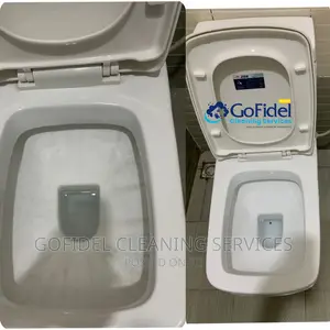 Toilet Detail Cleaning