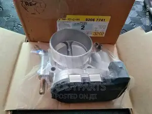 Chevrolet Captiva Throttle Body/Injector Mouth 2.4l