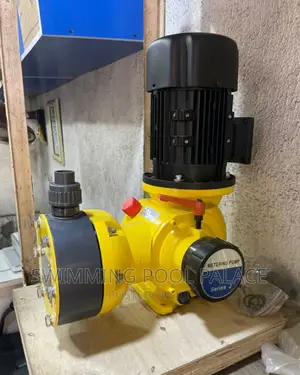Industrial Chemical Dosing Pump