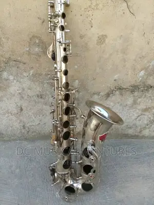 Saxophone Pad