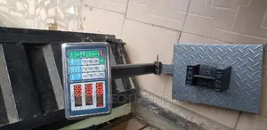 Electrical Platform Scale