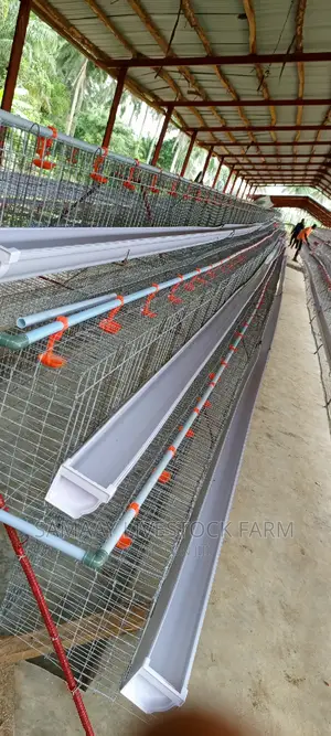Poultry Cage