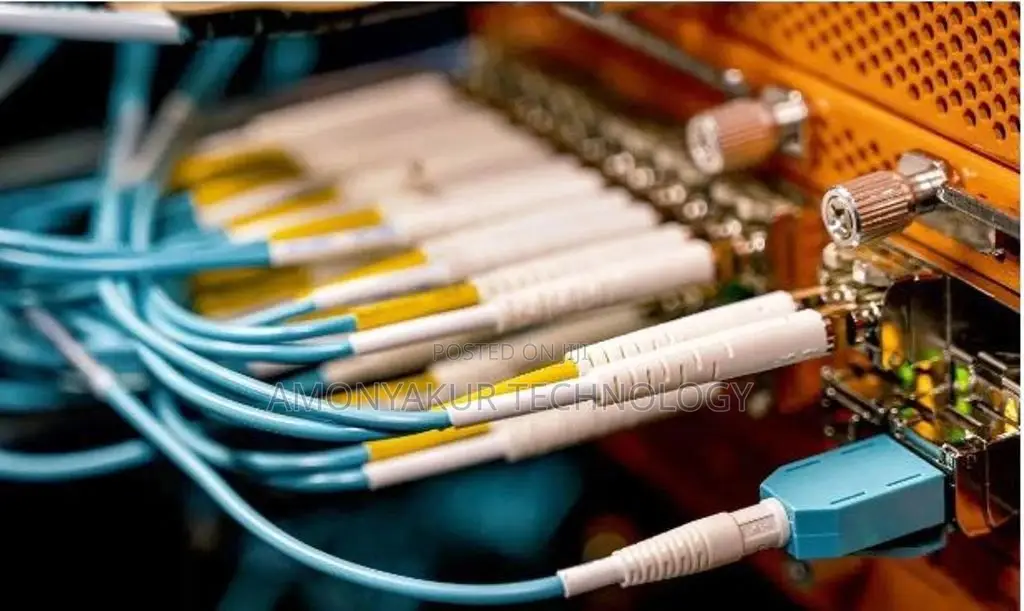 Fiber Optic Network Designs And