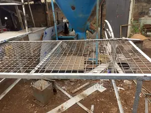 Evisceration Table (For Chicken Processing)
