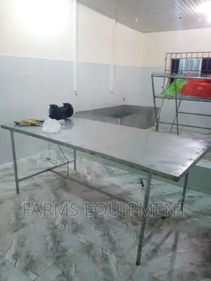 Evisceration Table (For Chicken Processing)
