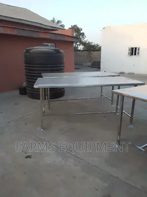 Evisceration Table (For Chicken Processing)