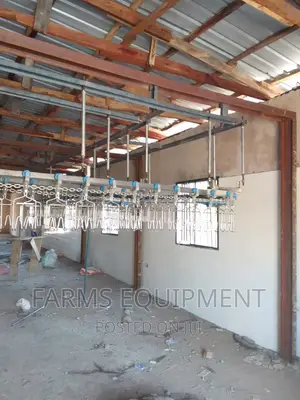 Low Budget Full Automated Chicken Processing Line