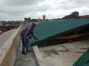 Big Shopping Complex Professional Roofing