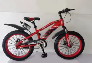 Big Tired Size 20 Bicycle for 9-15year