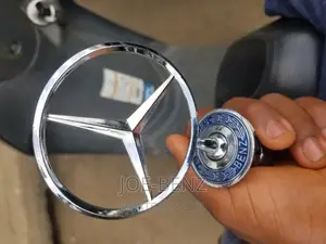 Bonnet Standing Logo