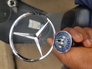 Bonnet Standing Logo