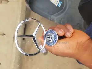 Bonnet Standing Logo