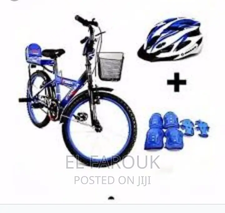 Professional Bicycle Mechanic