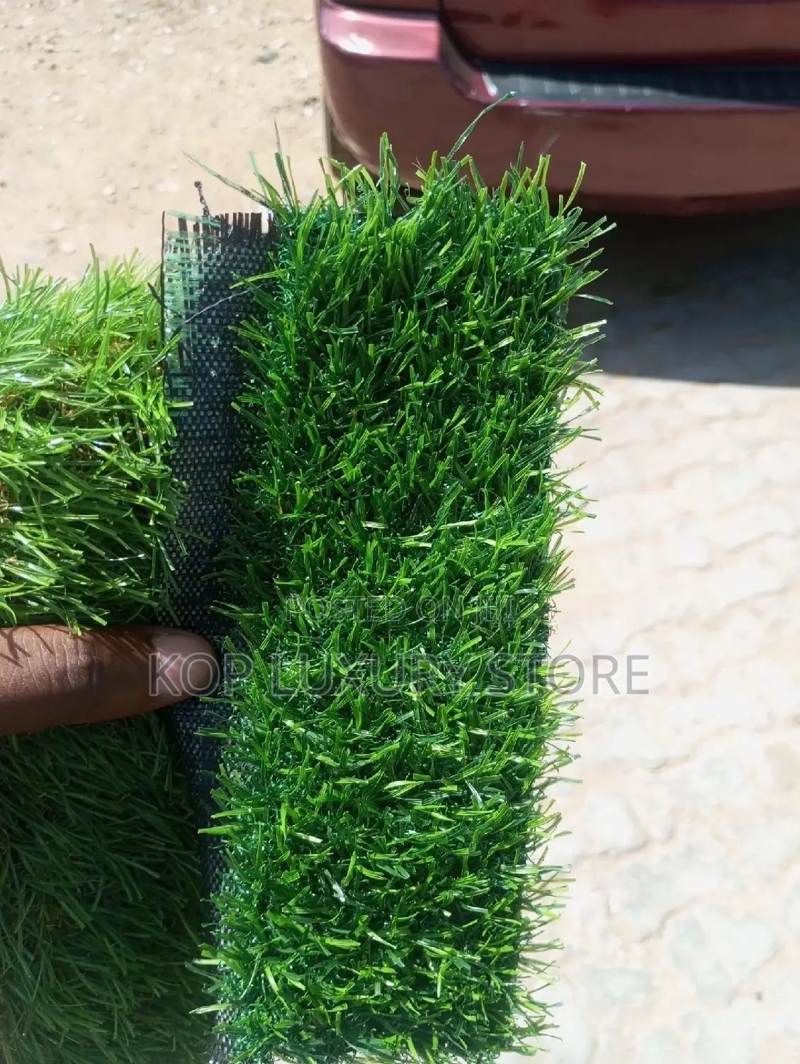 A High Quality Carpet Grass 15 Mm