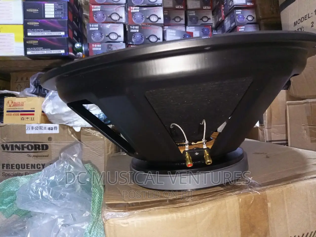 18" Naked Speaker