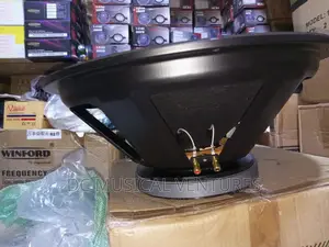 18" Naked Speaker