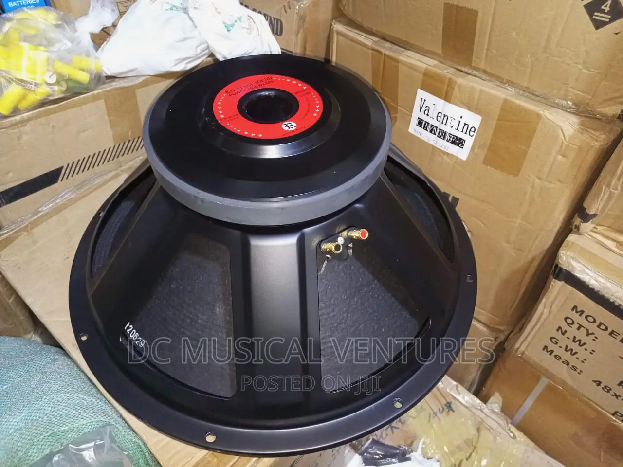 18" Naked Speaker