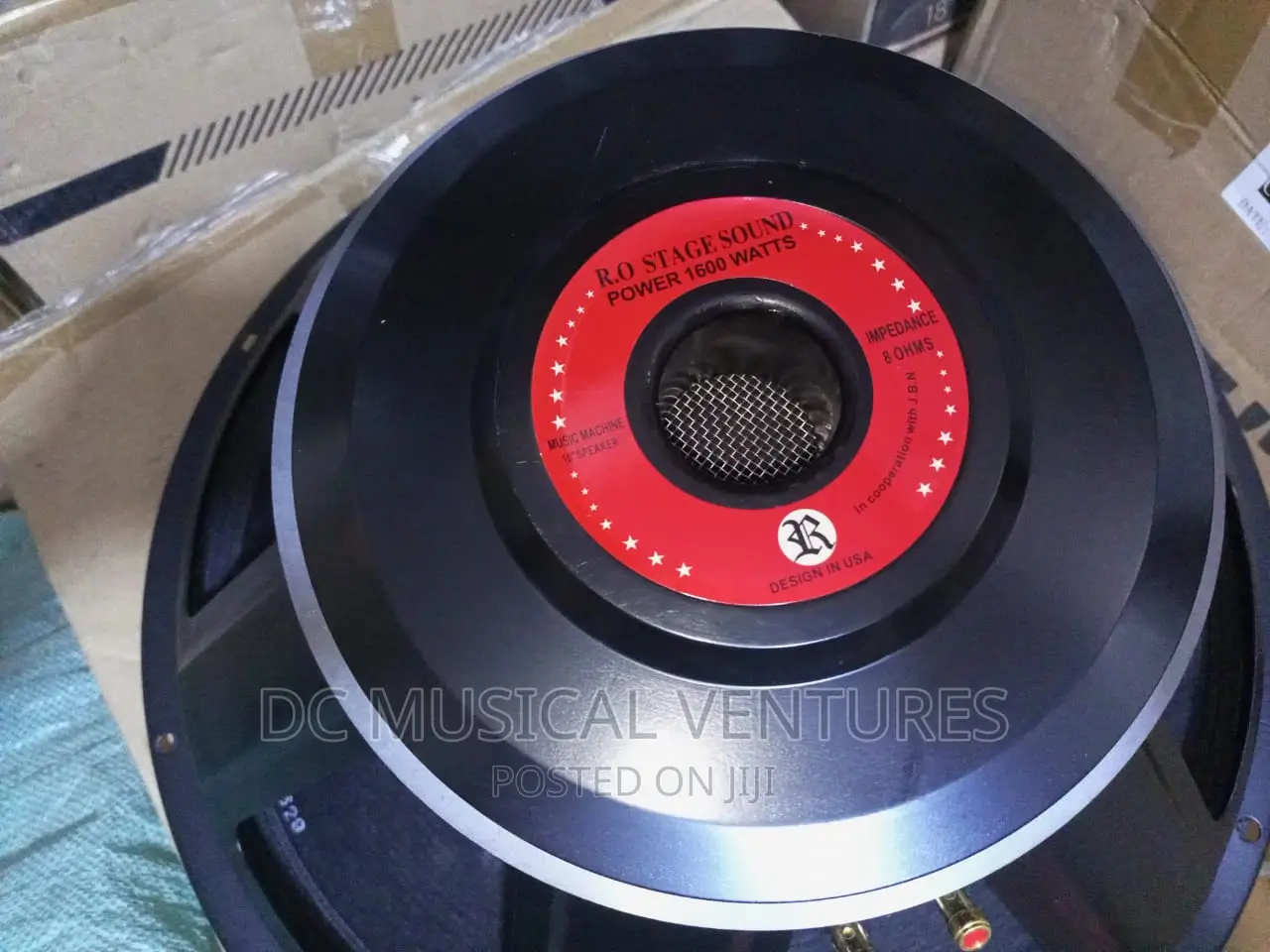 18" Naked Speaker