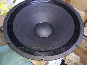 18" Naked Speaker