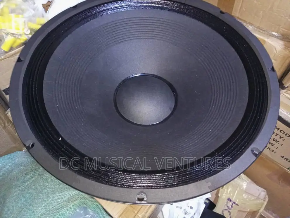 18" Naked Speaker