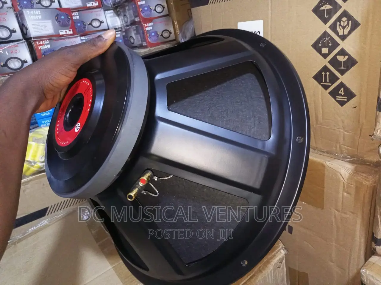 18" Naked Speaker