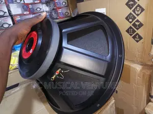 18" Naked Speaker