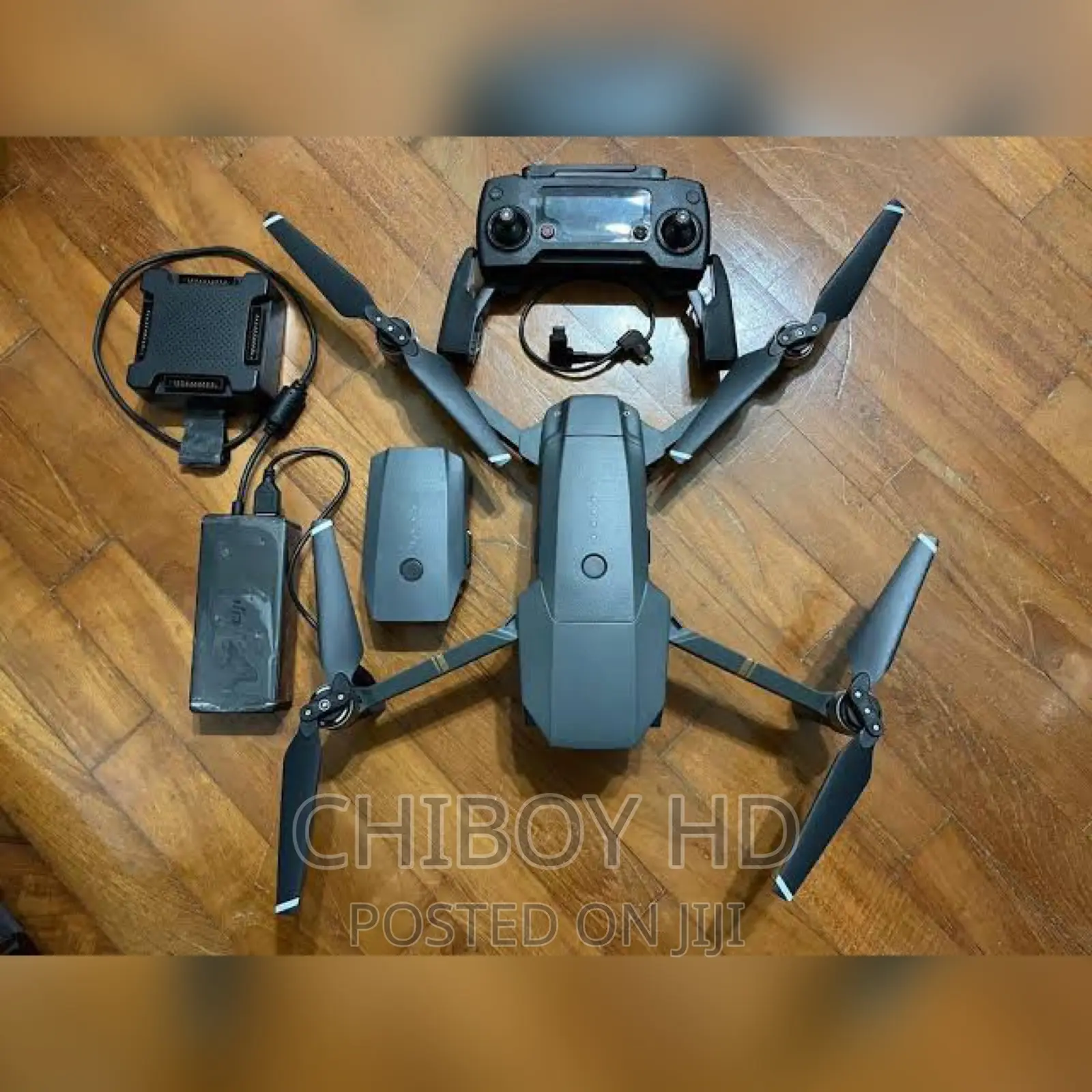 Drone Pilot