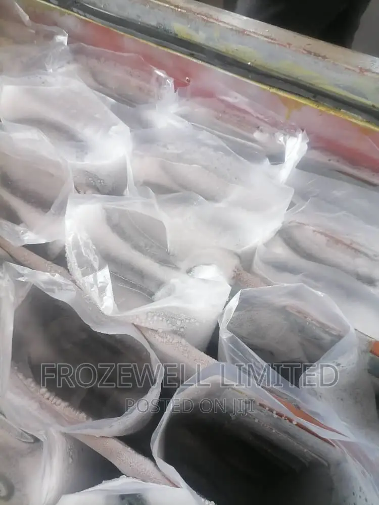 Ice Blocks Machine Chest