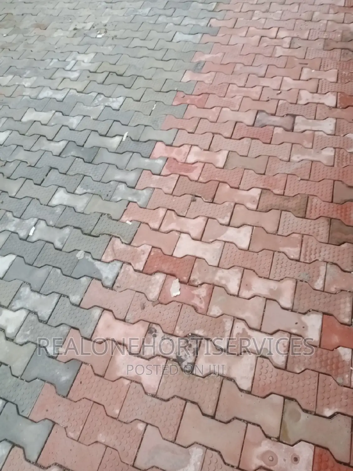 Pavers (Interlock) Suitable for Home, Hostel, Hotels