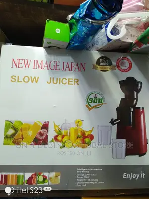 New Image Japan Multifunctional Slow Juicer