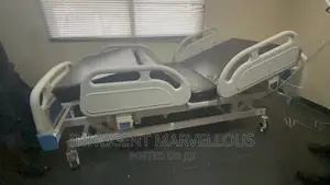 Electric 5crank Hospital Bed