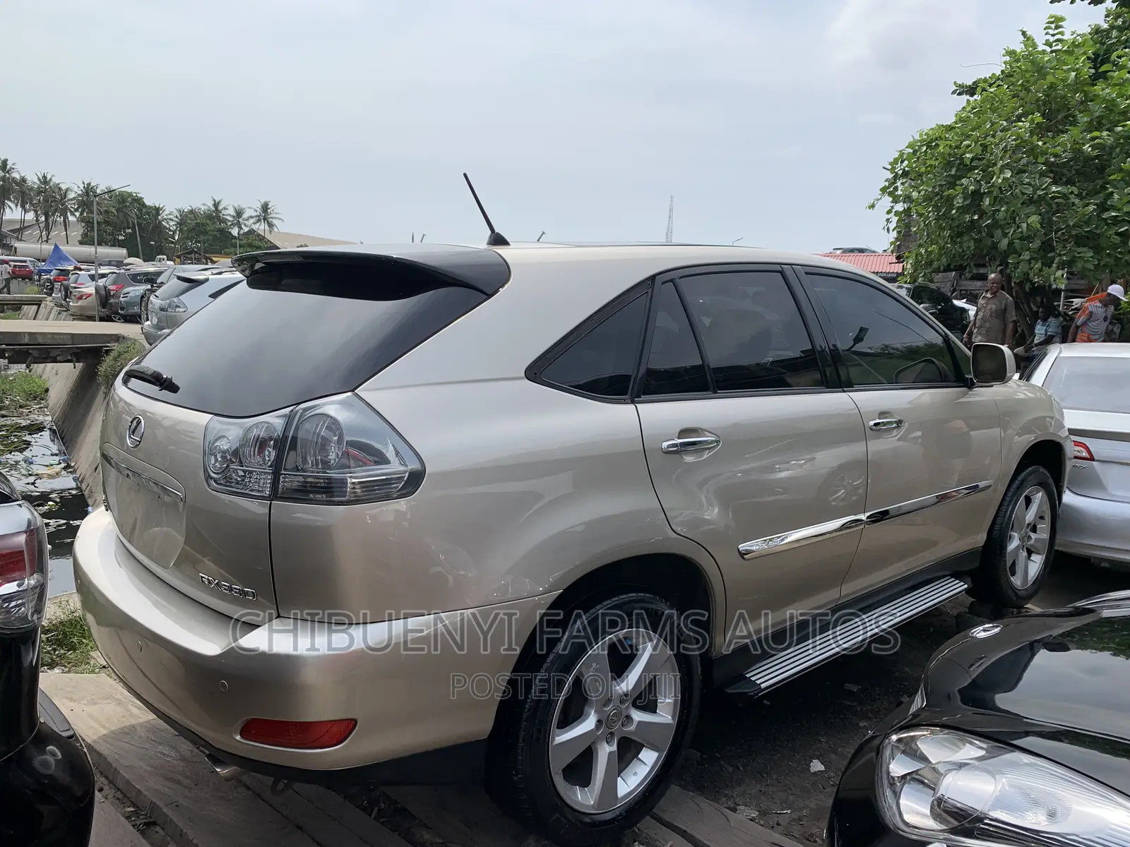 Lexus RX 330 2006 Gold