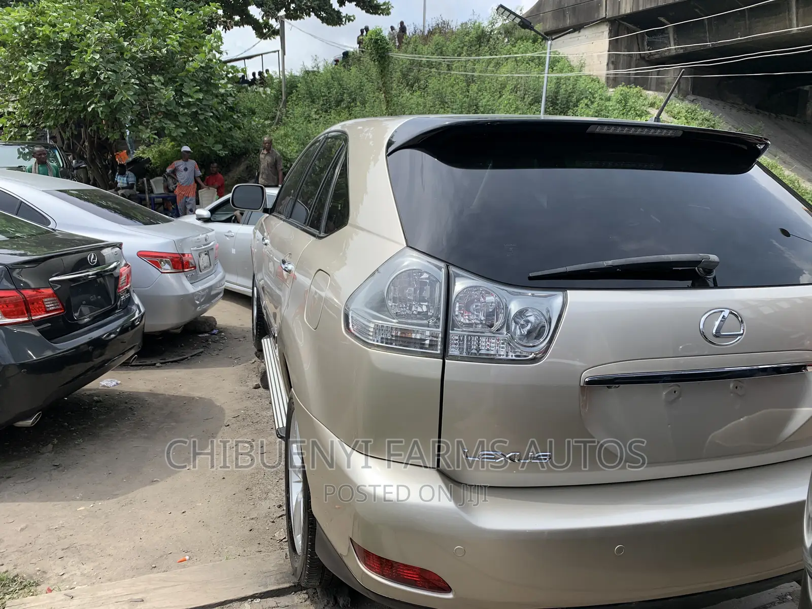 Lexus RX 330 2006 Gold