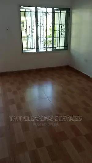 Professional Cleaning Services
