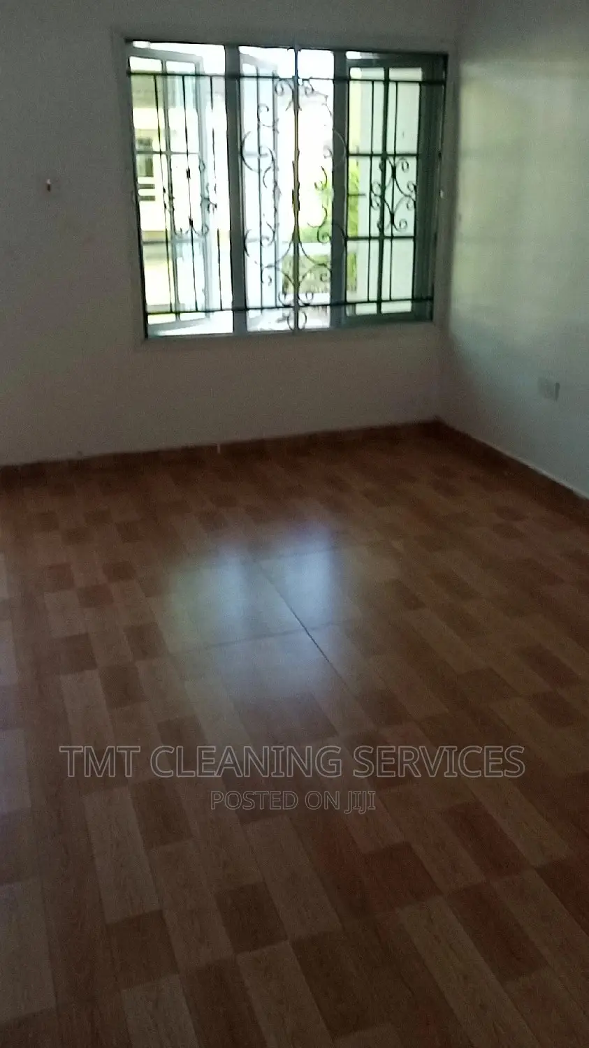 Professional Cleaning Services