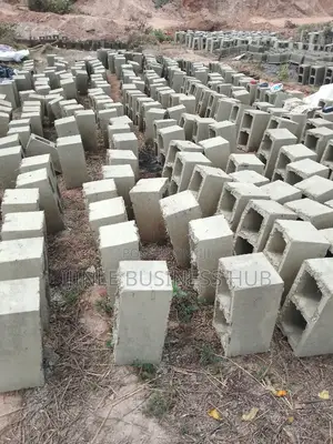 On-Site Block Molding in Nigeria
