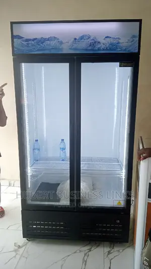 Industrial Chiller 2door