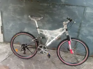 Street Coach Sport Bicycle