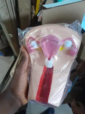 Female Intrauterine Device Training Model