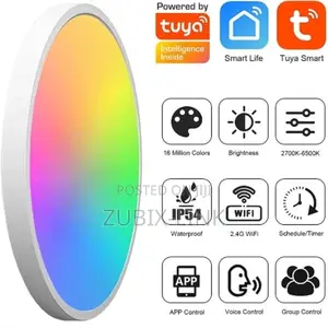 Smart Wi-fi Ceiling Light With Main Light And RGB Atmosphere