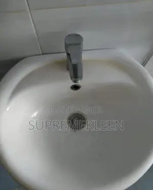 Toilets,Sinks and Entire Bathroom Cleaning Services