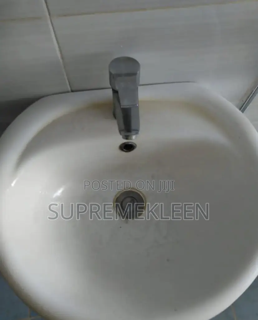 Toilets,Sinks and Entire Bathroom Cleaning Services