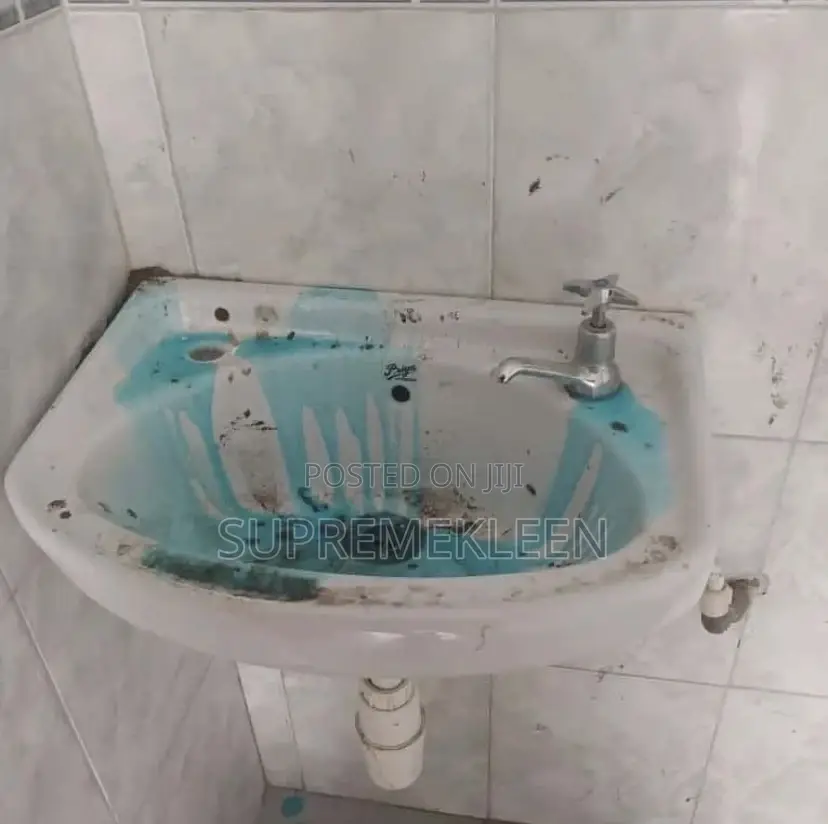 Toilets,Sinks and Entire Bathroom Cleaning Services