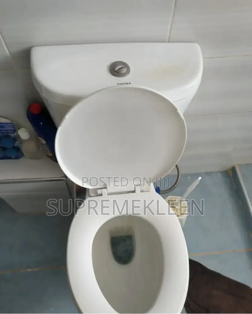 Toilets,Sinks and Entire Bathroom Cleaning Services