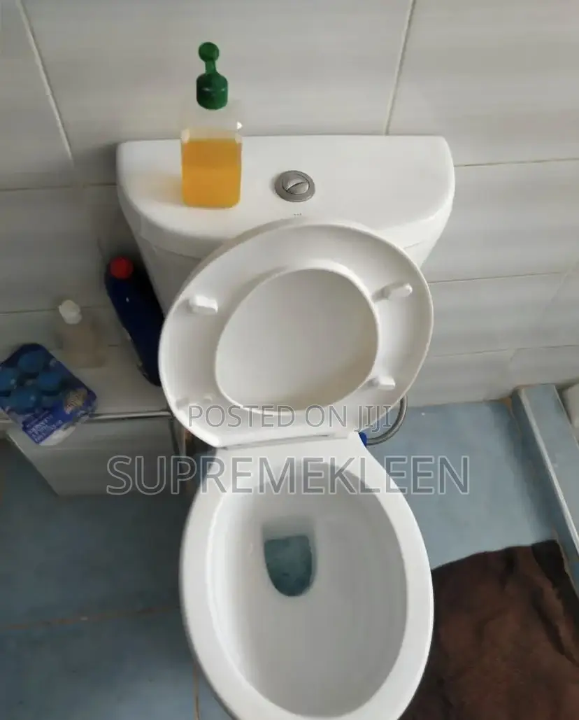 Toilets,Sinks and Entire Bathroom Cleaning Services