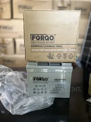 40A 12v Forgo Deep Cycle Gel Batteries For UPS And Inverter