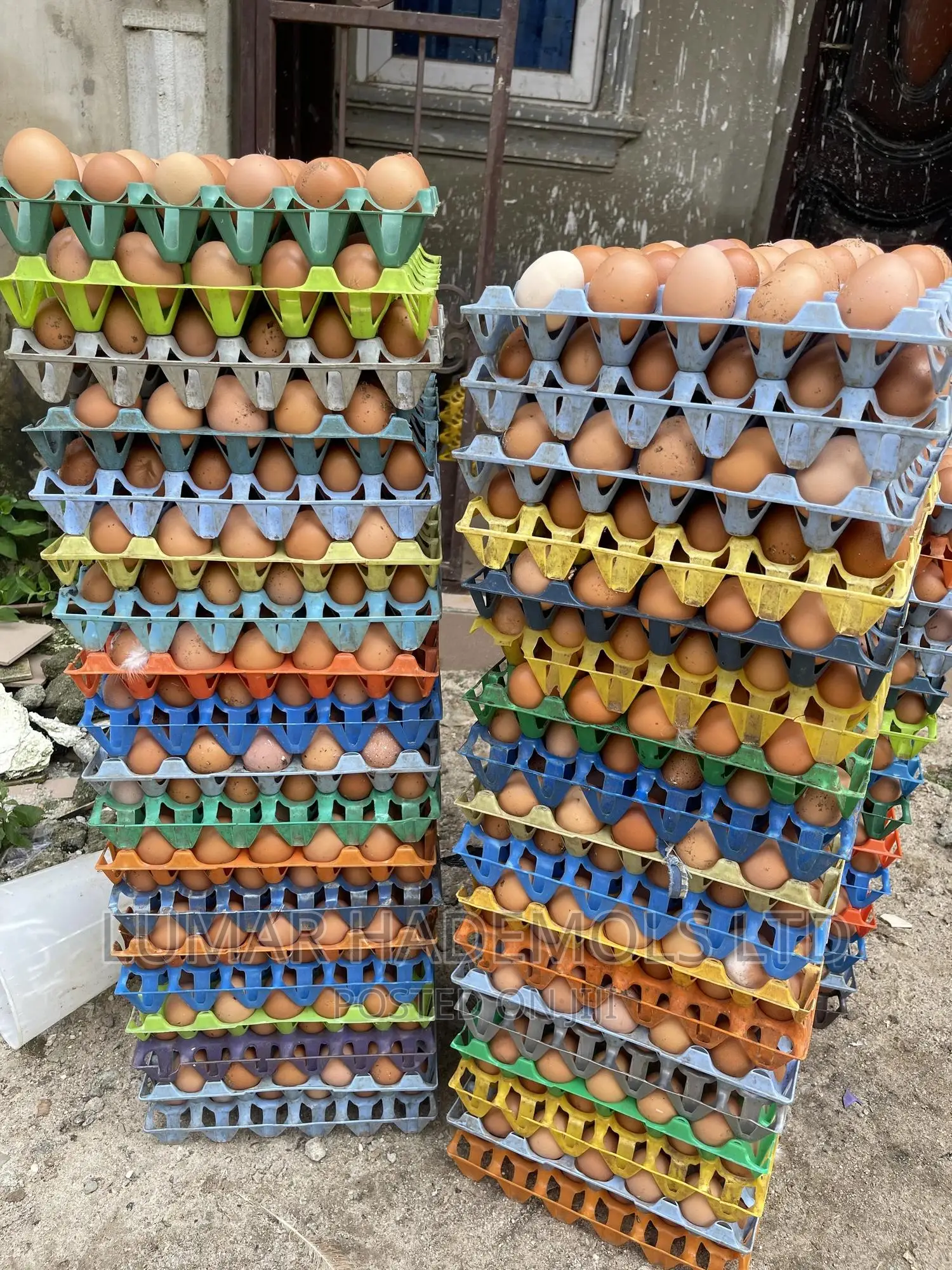 Egg In Ikorodu For Sale Large Quantities