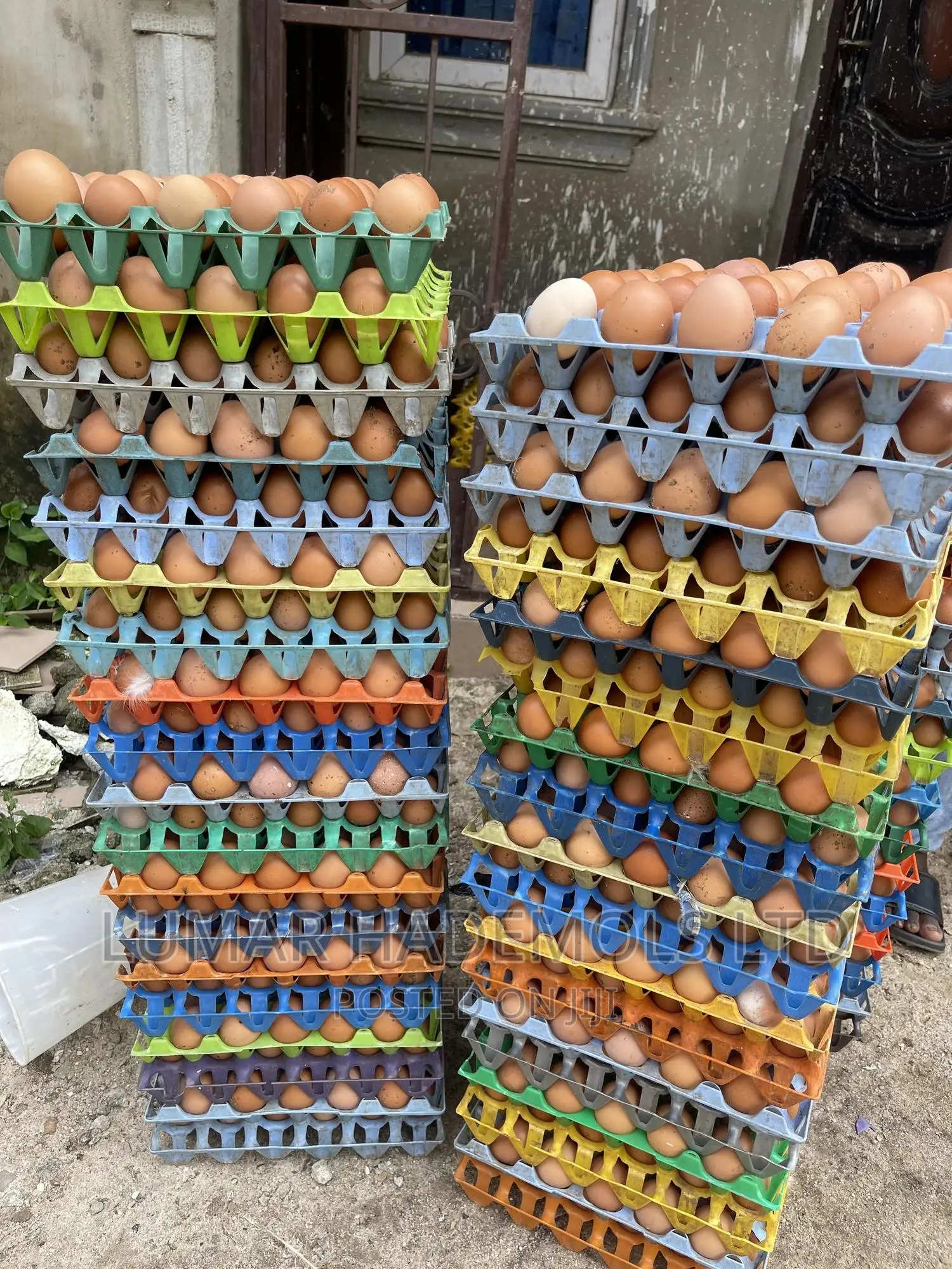 Egg In Ikorodu For Sale Large Quantities