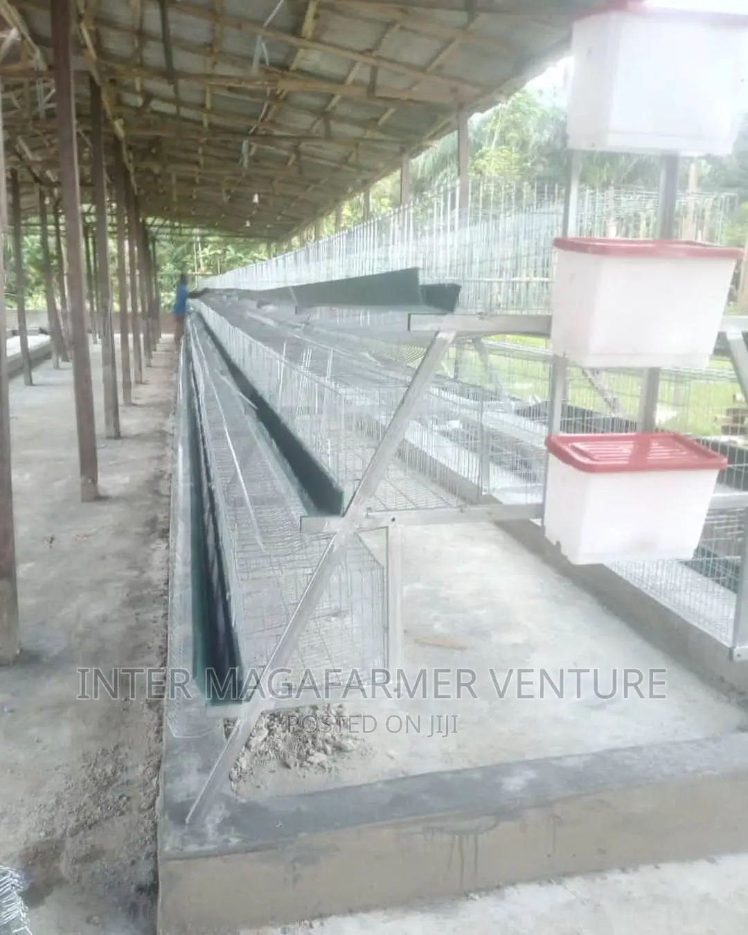 96 Cold Dipped Battery Cage